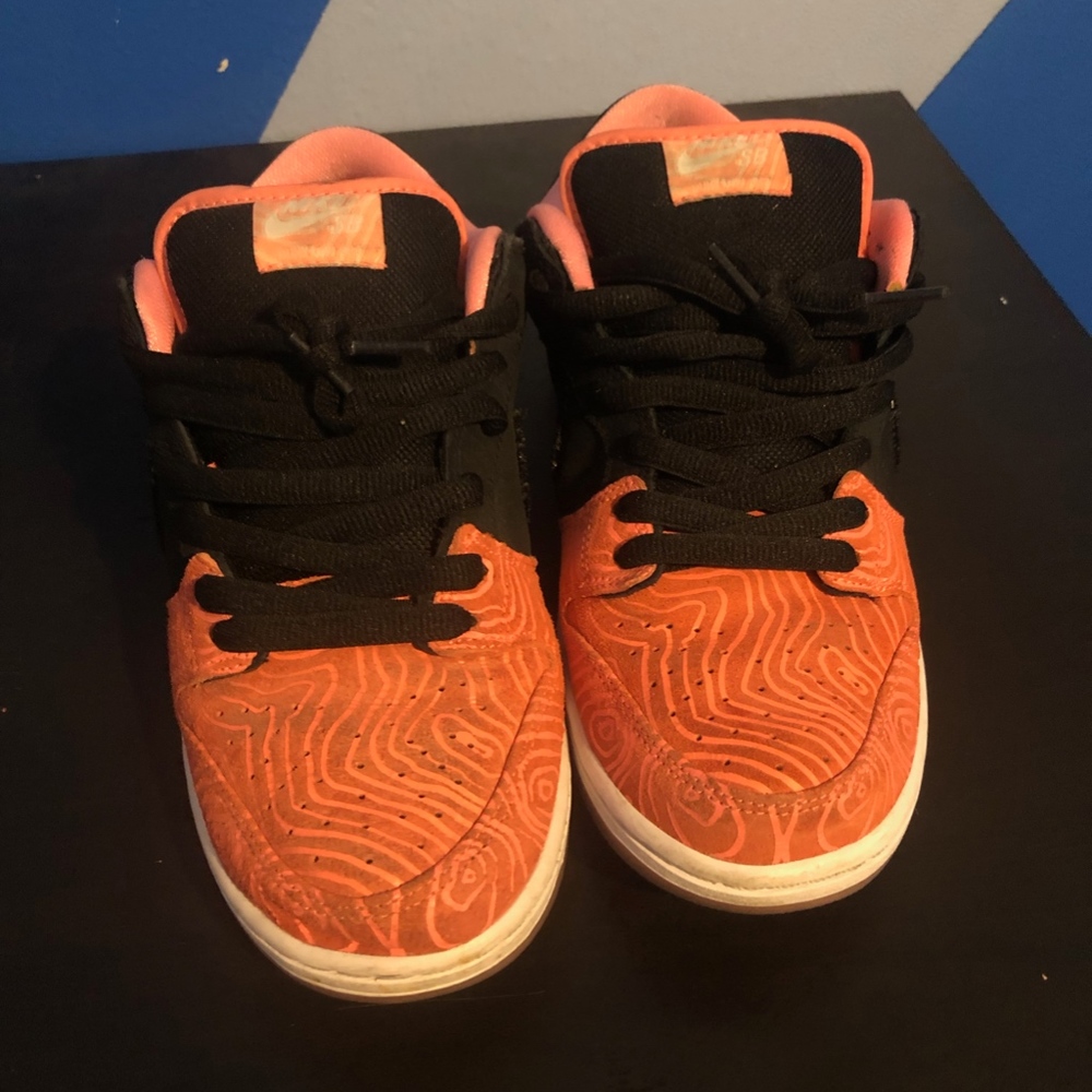premier X dunk low pro sb fish ladder